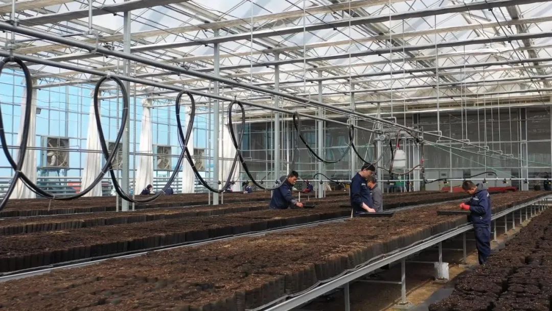 Z6·尊龙凯时「中国区」官方网站